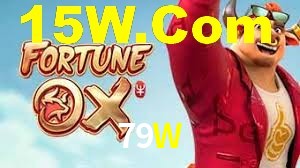 Premium Interface 79W